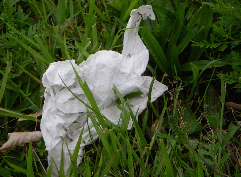 litter